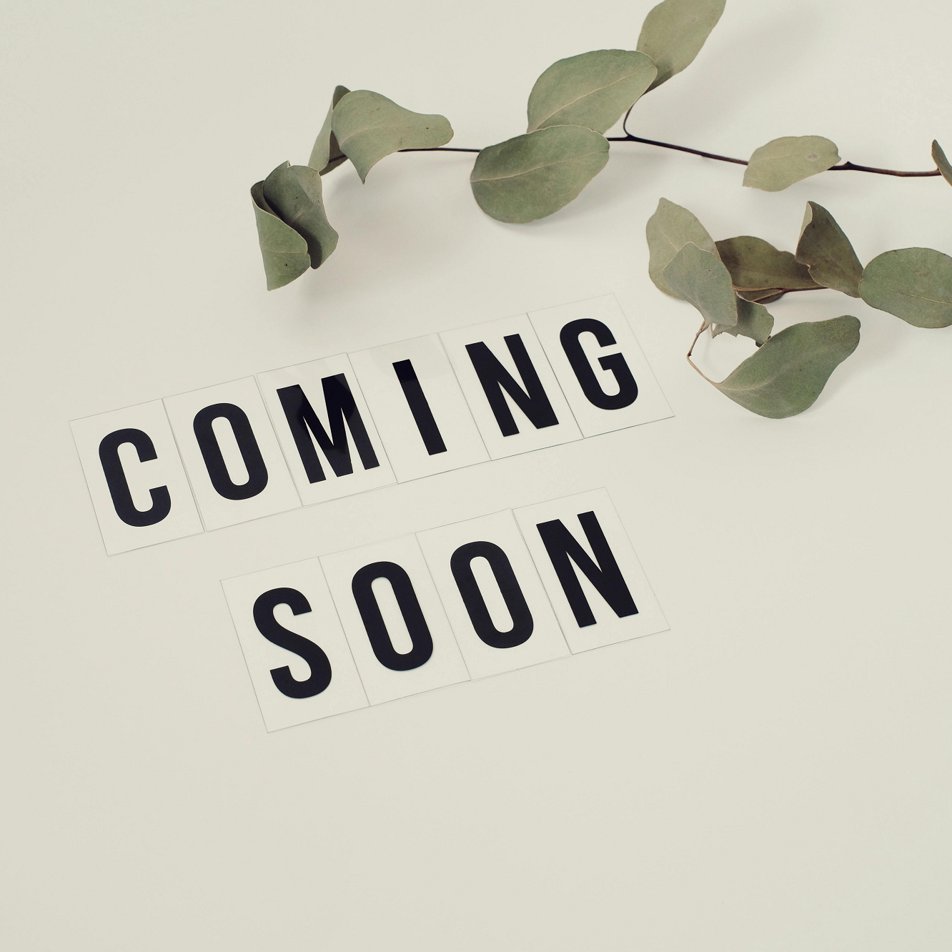 sofrito chicken bowl